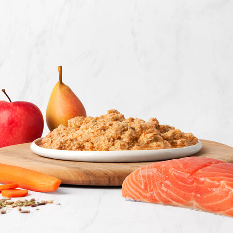 Menü Lachs mit Gemüse (BARF, gewolft) Masterfeed